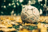 LiveScore Football : Suivez l’Action en Temps Réel